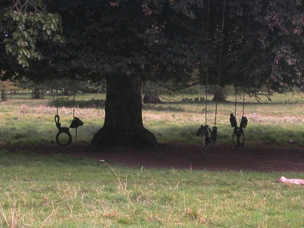 Swings