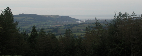 Estuary