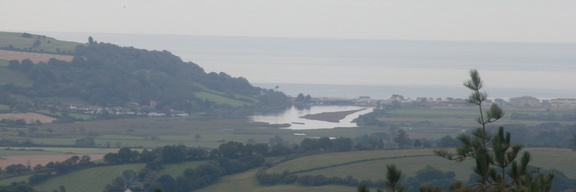 Estuary