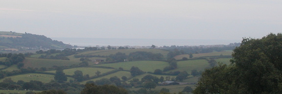 Estuary