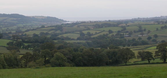 Estuary