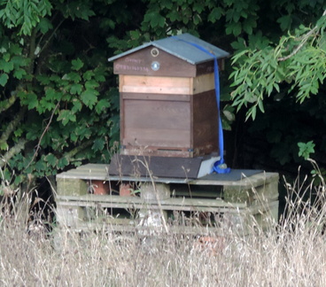 Beehive