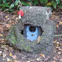 Fairy door