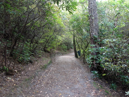 Path