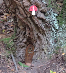 Fairy door
