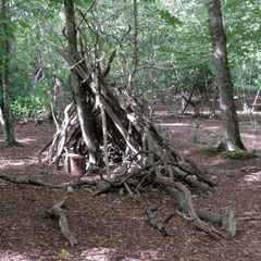 Shelter