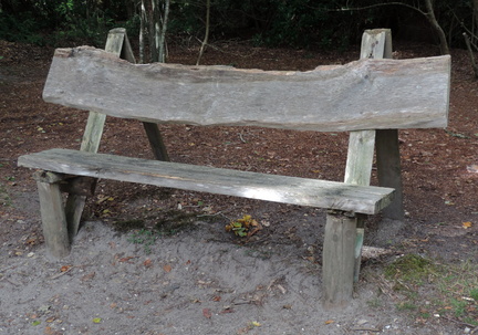 Bench
