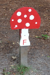 Toadstool