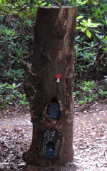 Fairy house