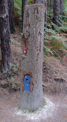 Fairy house