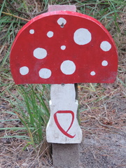 Odd letter