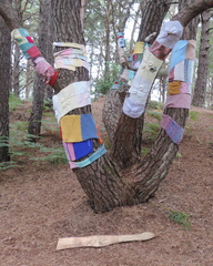 Decorated tree