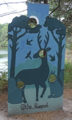 Board