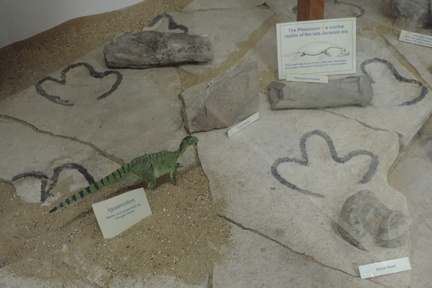 Dinosaur footprints