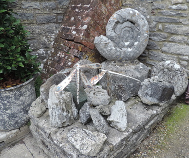 Rocks and fossils