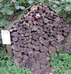 Insect hotel