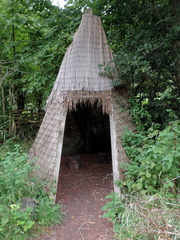 Shelter
