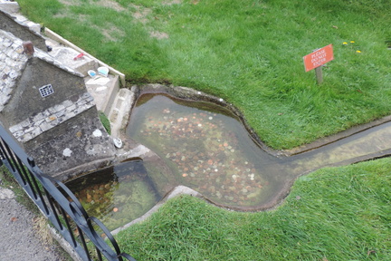 Pond
