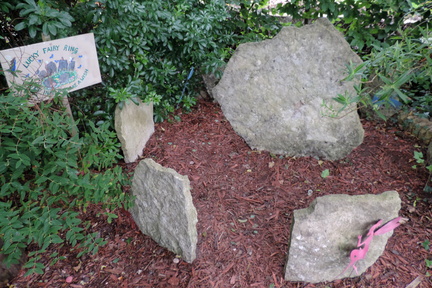 Fairy ring