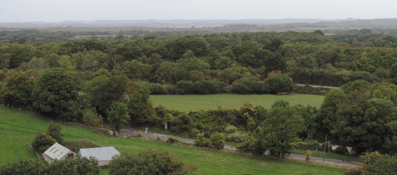 Landscape