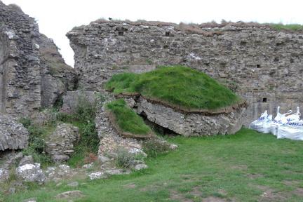 Wall