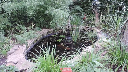 Fountain