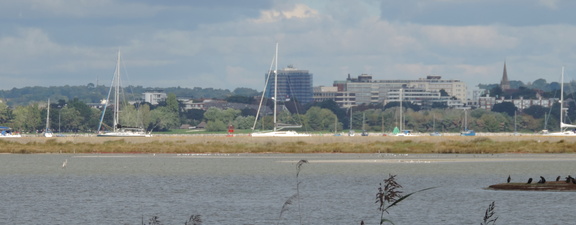 Across the harbour