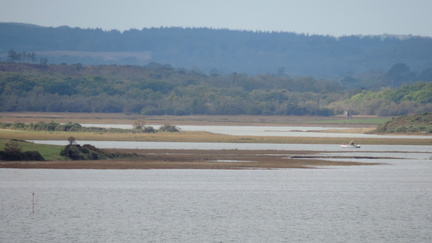 Mud flats