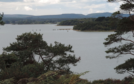 Across the bay