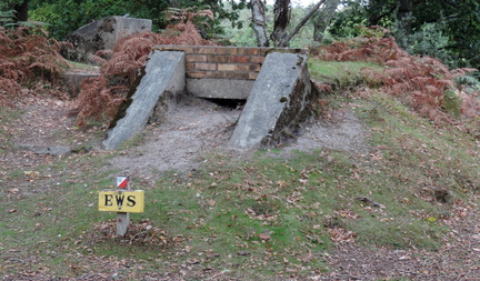 Shelter