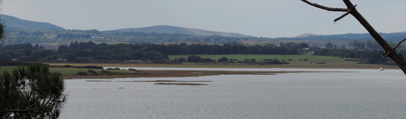 Mud flats