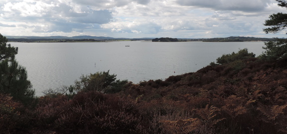 Across the bay