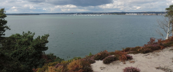 Across the bay