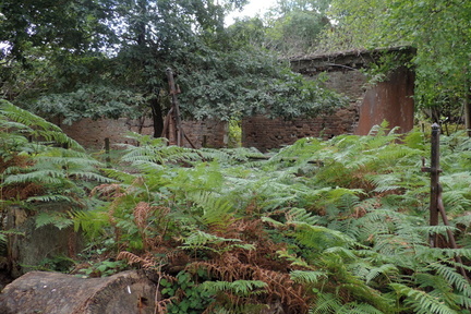 Ruin