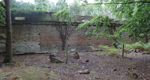 Wall