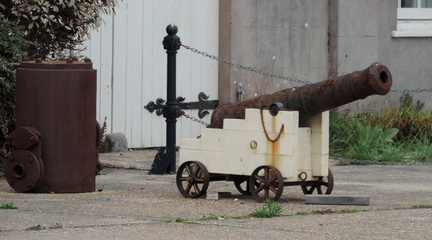 Cannon