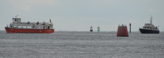 Out to sea