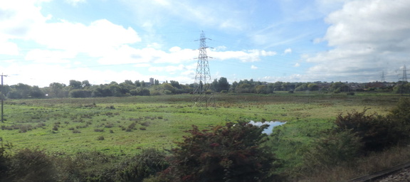 Field