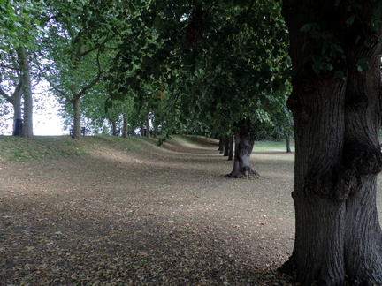 Under the trees