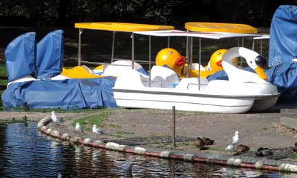 Boats