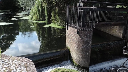 Weir