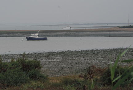 Boats
