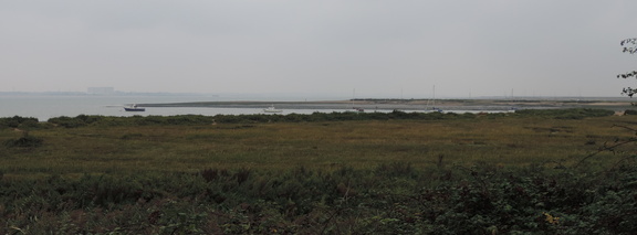 Across the mud flats