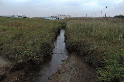 Stream