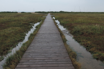 Boardwalk