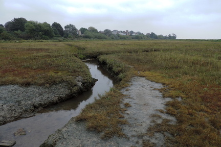 Stream