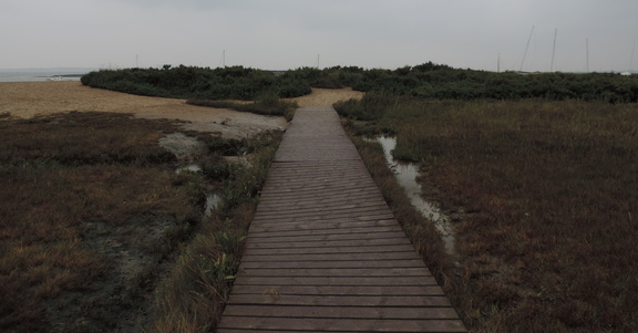 Boardwalk