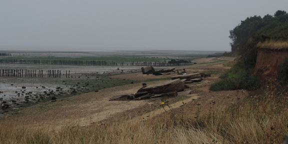 Along the coast
