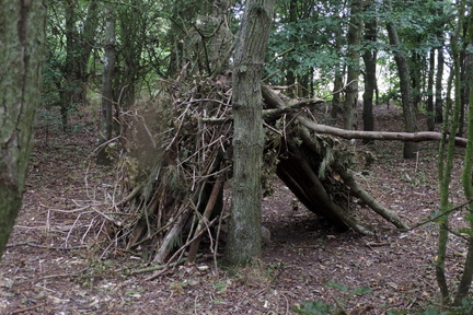 Shelter