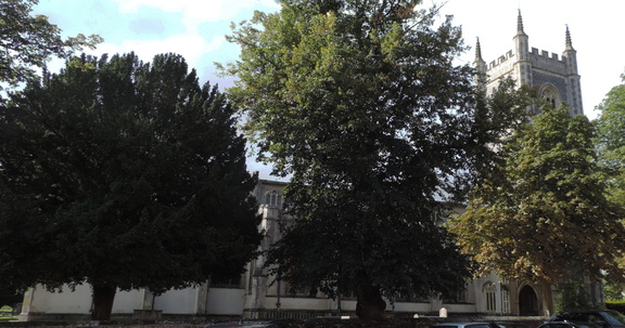 Church